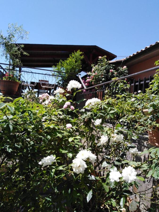 La Fenice Montefiascone Exterior foto