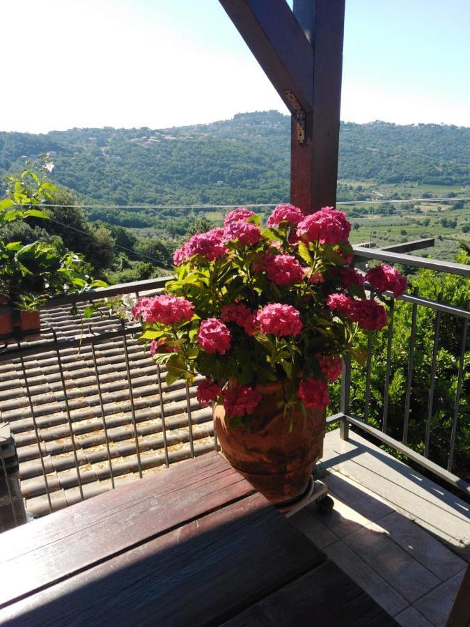 La Fenice Montefiascone Exterior foto